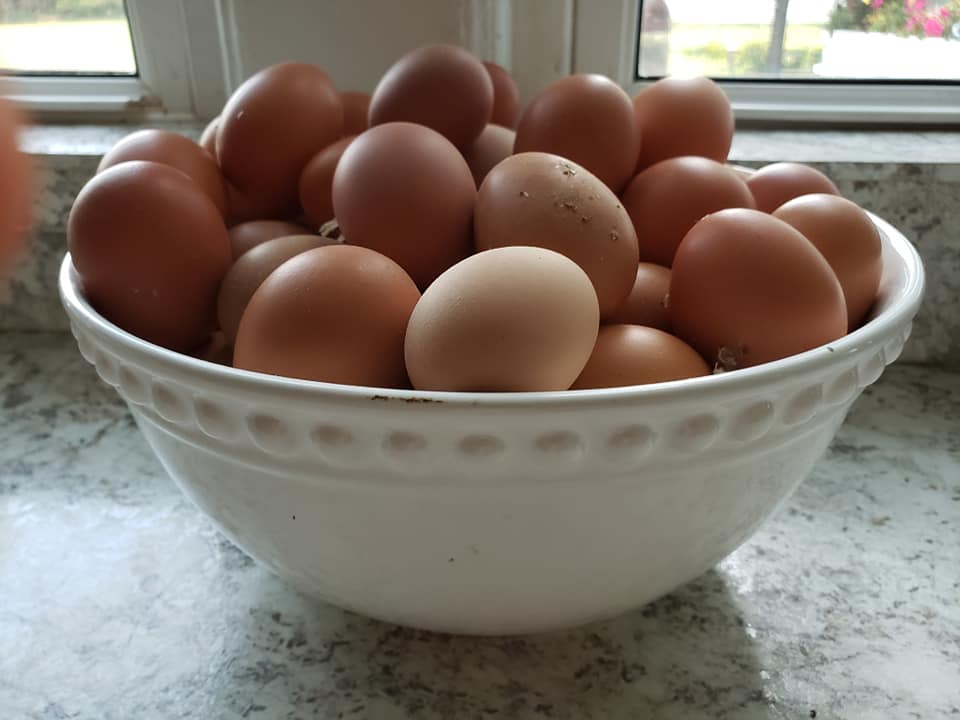 121623007_10157188527671076_8950409050031831641_n