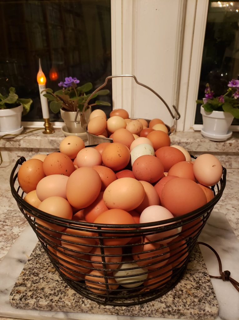 155833362_10157488045116076_8839204044607036487_n