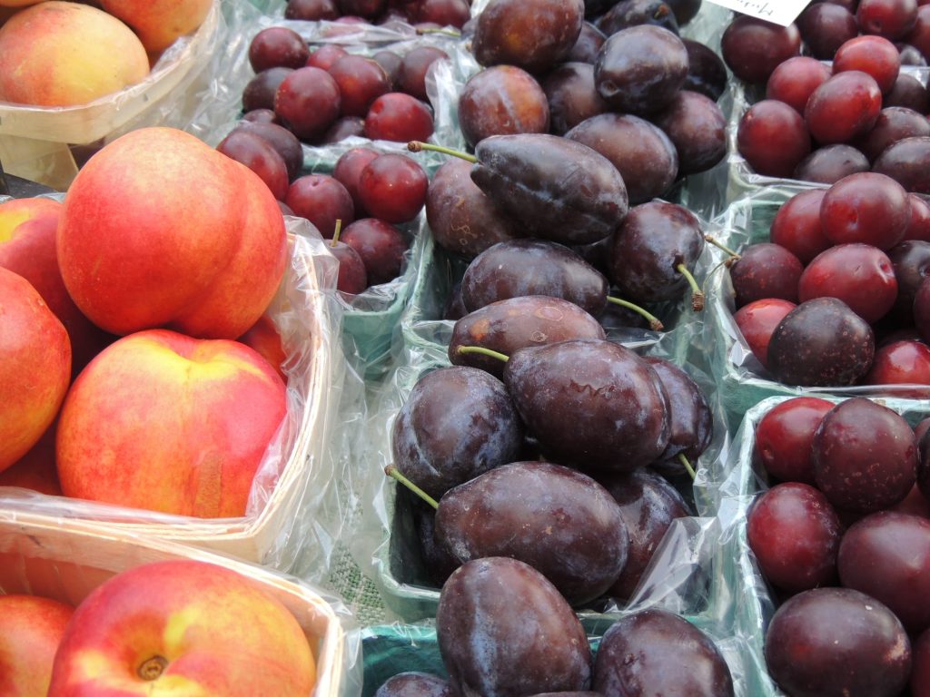 236900027_10157810841821076_8068470730425246604_n