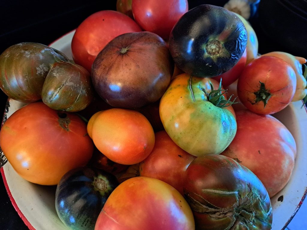 296976547_10158343868696076_8256688455114820052_n