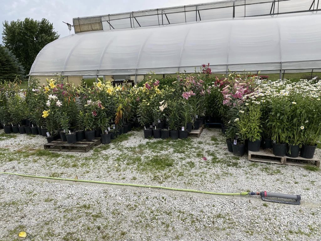 357726273_656143176532719_6258973544673309489_n