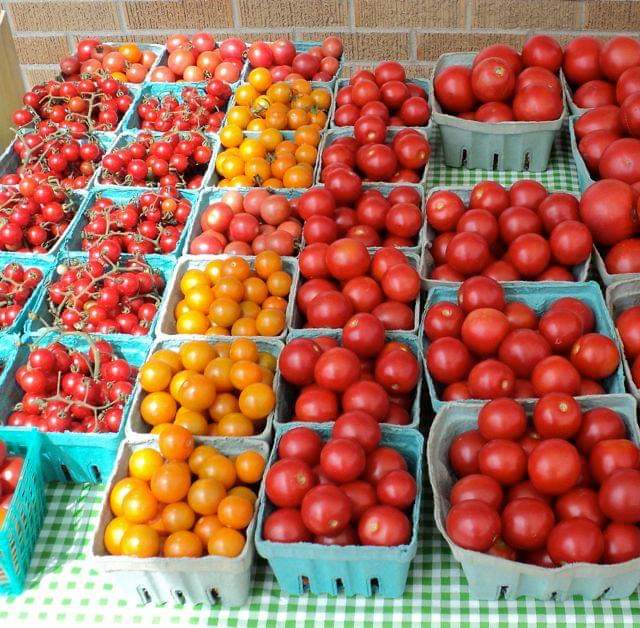 359830720_746785720786404_4133538468280343893_n