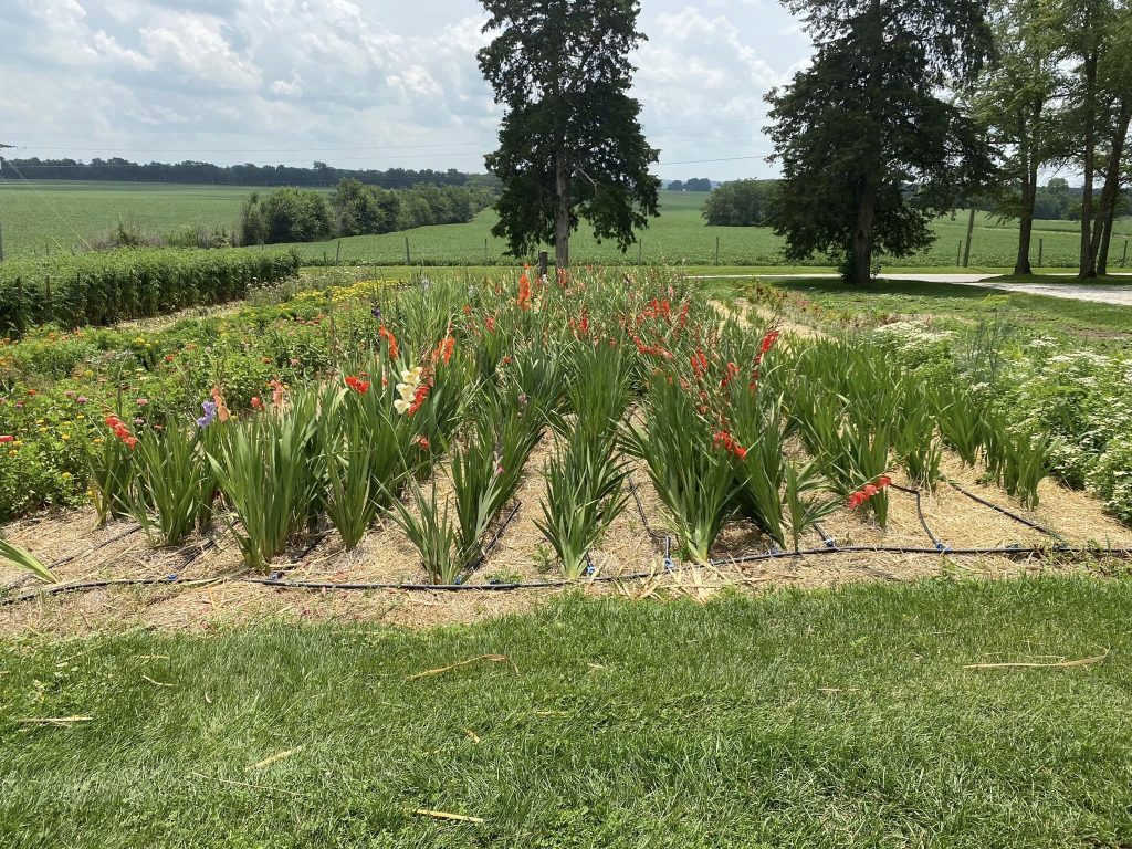 361577277_666558428824527_7323713460196773151_n