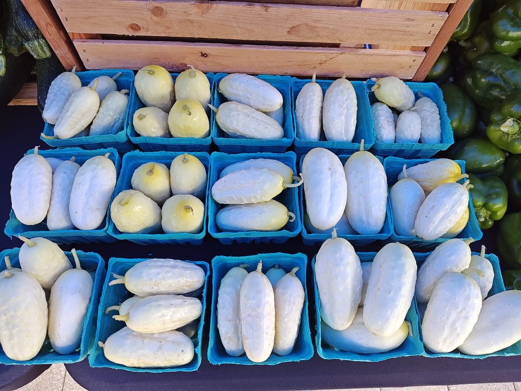 363429977_10231713911457931_8912888122386452948_n