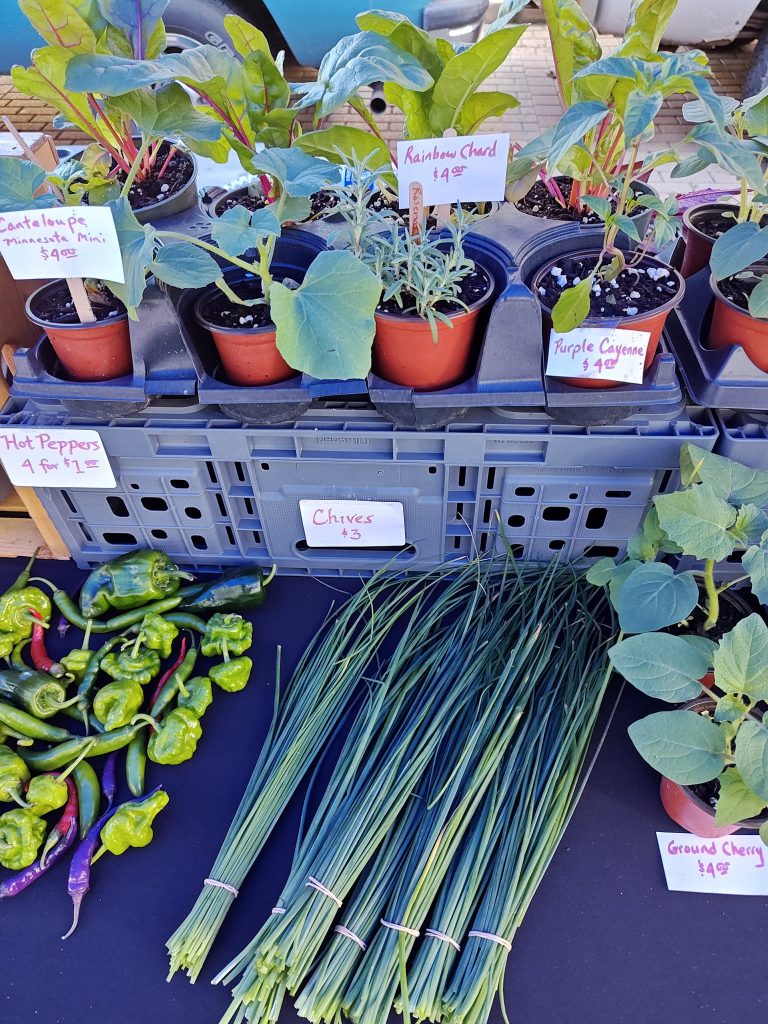 364171191_10231713911577934_4860300770775040201_n