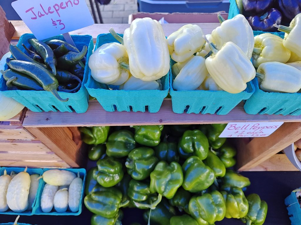 364213047_10231713911777939_2629839640775217585_n