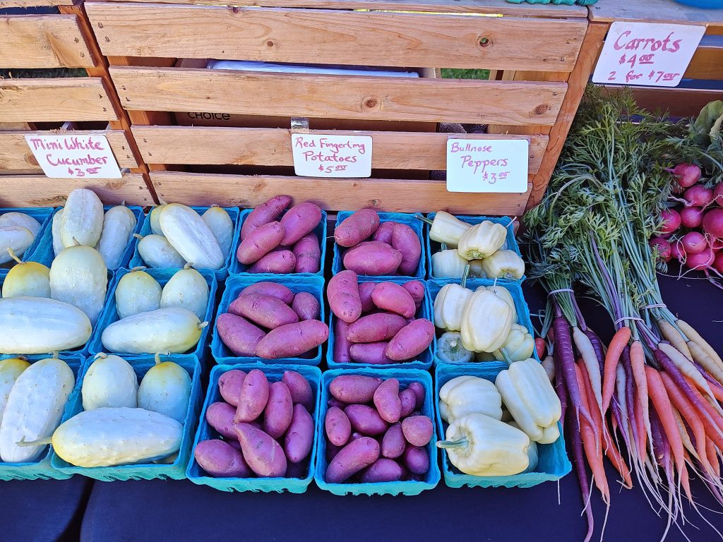 365189627_10231751629960870_4671101262894541114_n