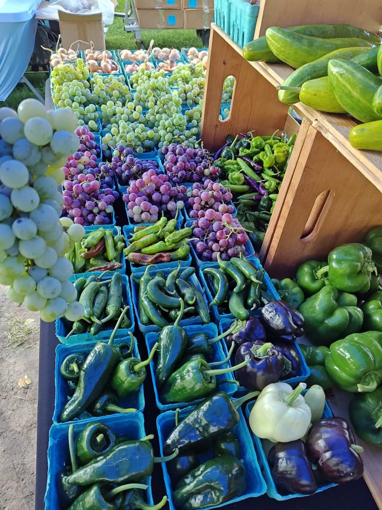 366654433_10231802461511627_1382520910082823893_n