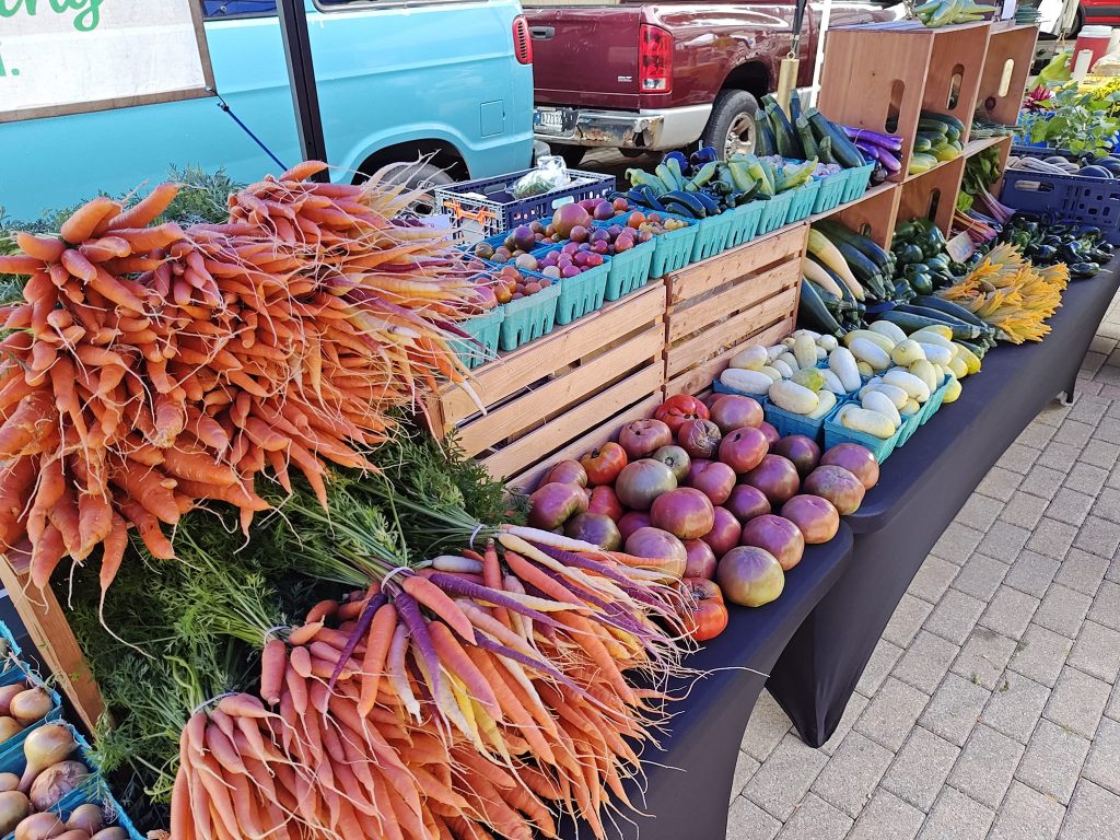 367038062_10231816910552844_4456126618908032019_n