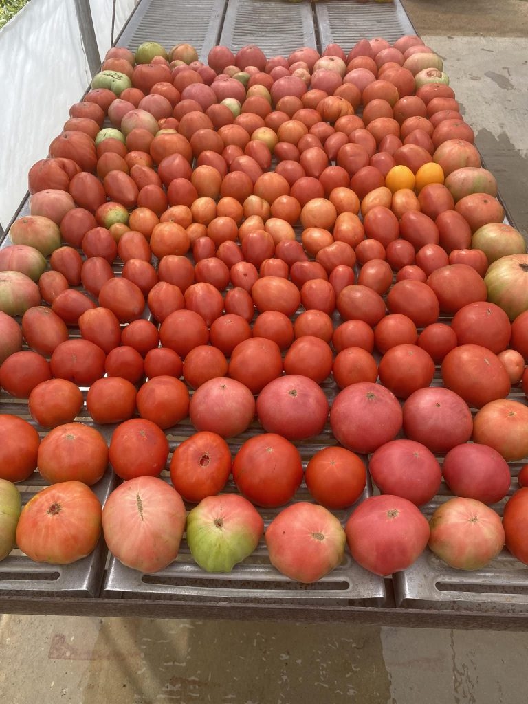 370615798_687830163364020_1373065655158501245_n