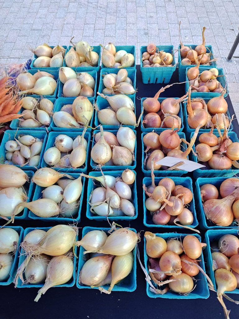 372916933_10231966680256993_1919462031963564824_n