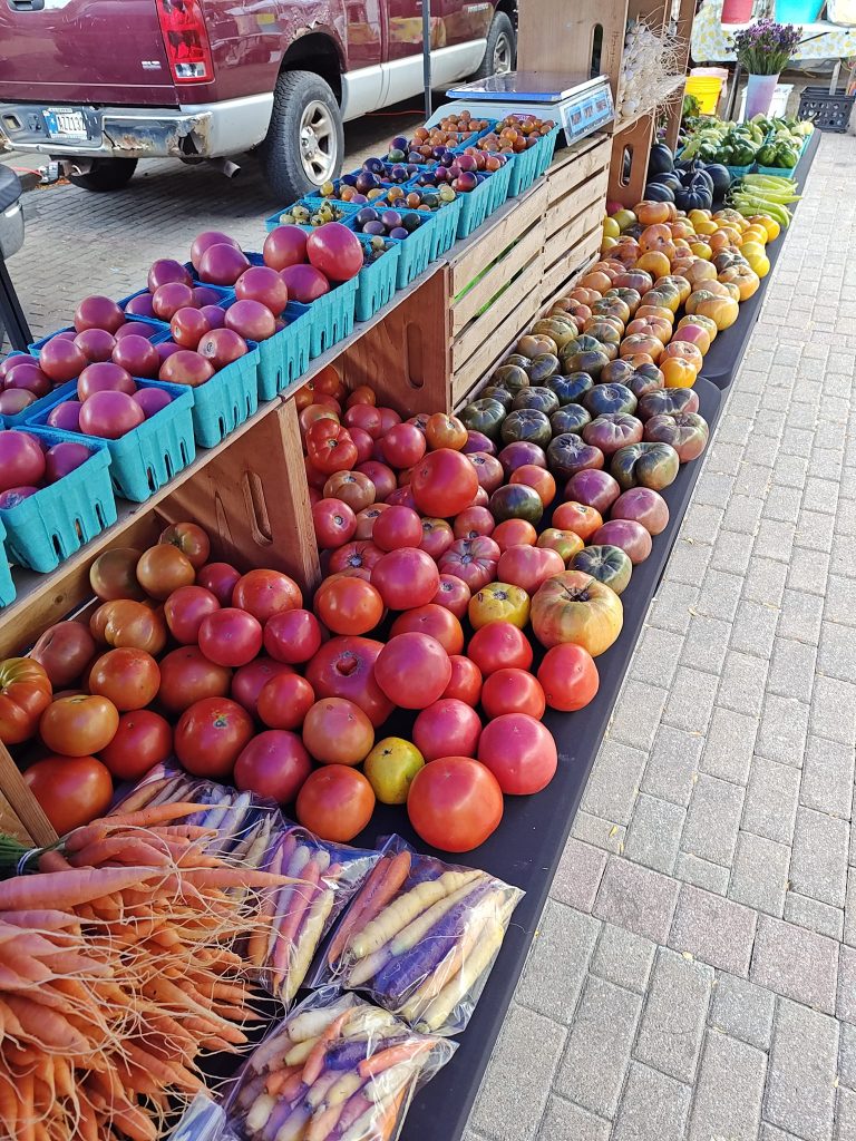 374077643_10231966041961036_9172880604222082582_n