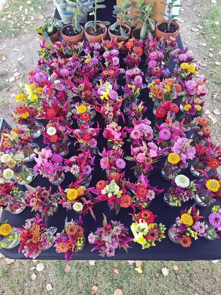 384682420_10232174773419192_3095057049171472501_n