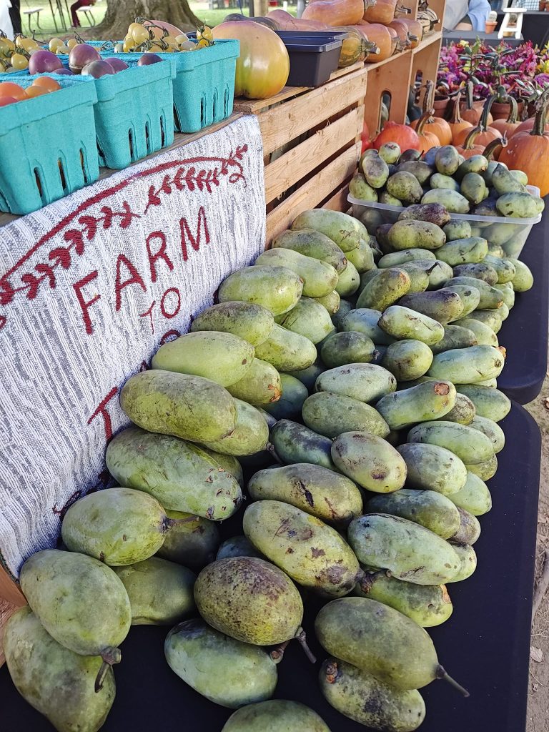 384760084_10232174773179186_6397886061868553639_n