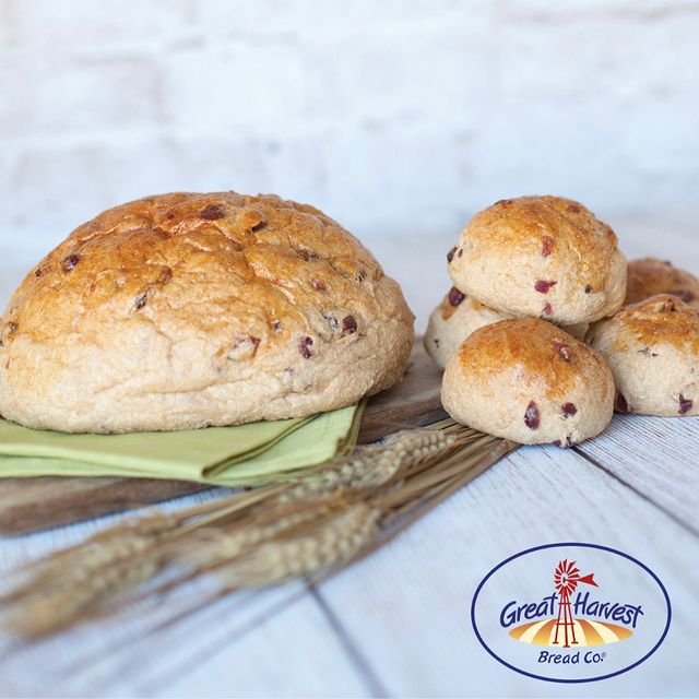 403725532_1253302542288474_2003998428759239958_n