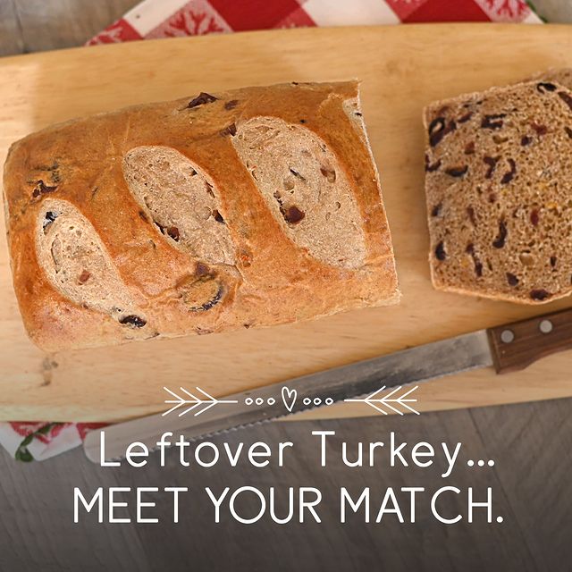 406271906_1257054731913255_7820077917633583820_n