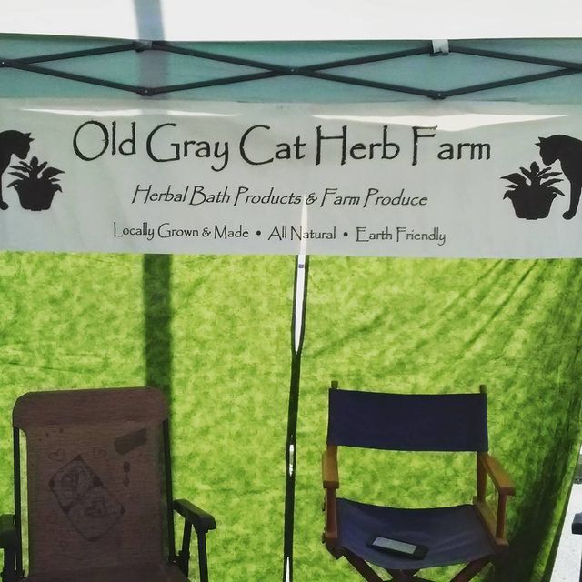 13329158_972613182836294_583569862_n