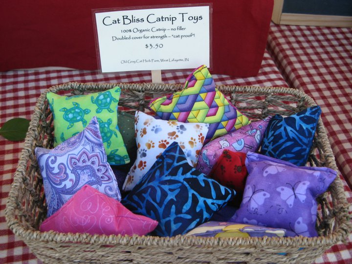 166625_153432651374897_766294_n