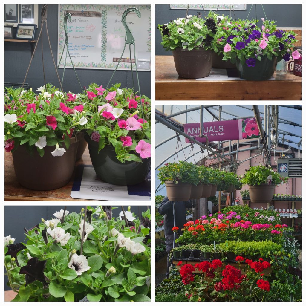 342724487_5922906511169246_8209374789699060886_n