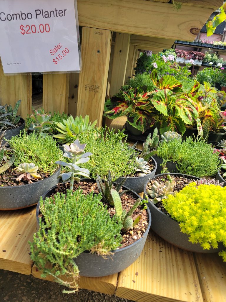 349094587_243876901568438_715701711972089924_n