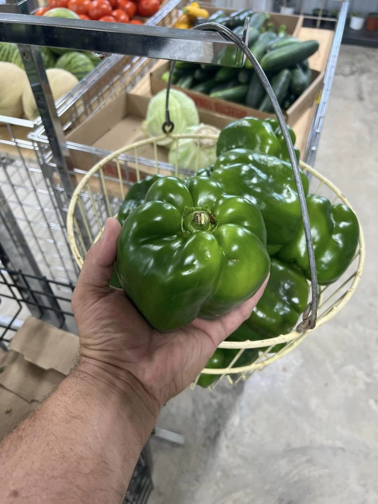 371878195_706465298174711_6541083284746229972_n