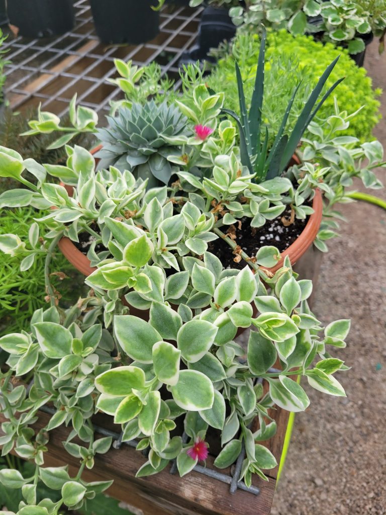 376243749_796552758930007_9151491875020684759_n