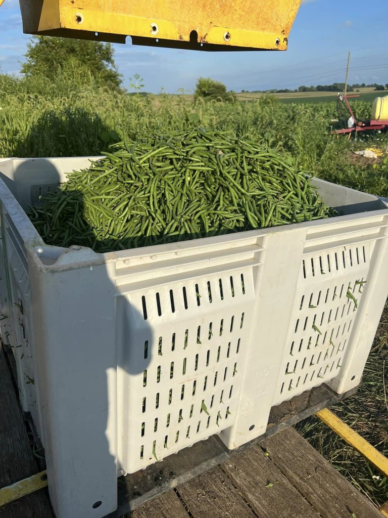 377509641_714260044061903_3665645199752332678_n