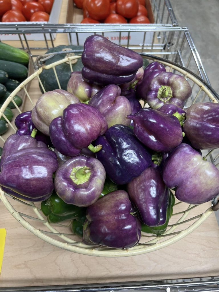 379067263_718711243616783_7635514648372083017_n