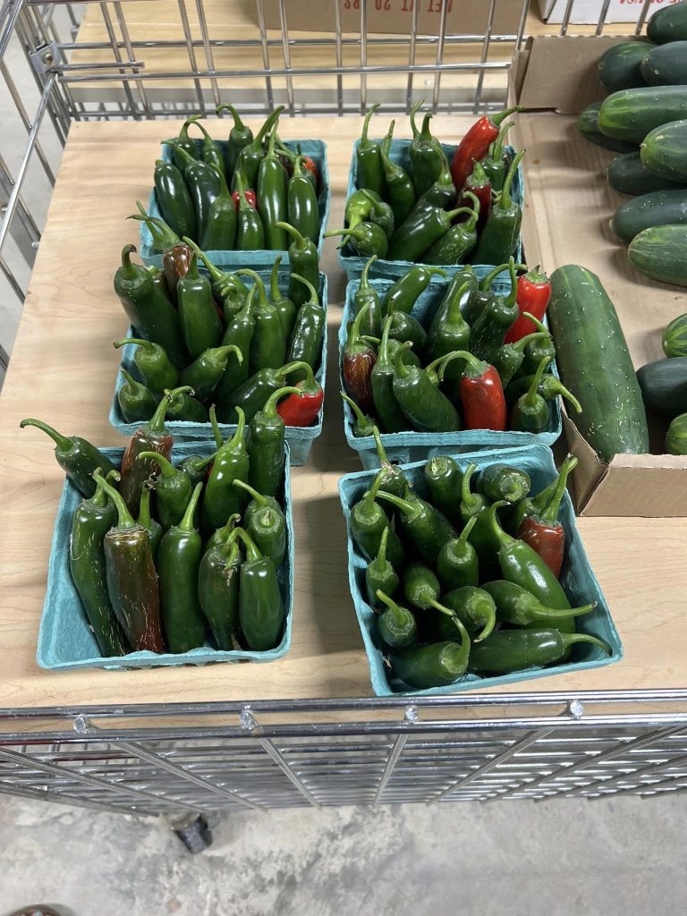 379132391_718711443616763_3156909210289381104_n