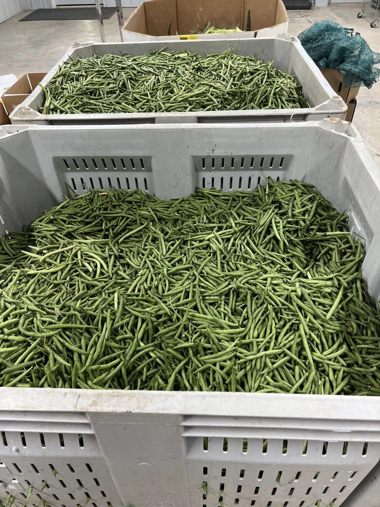 387203936_730881375733103_3308126808270563088_n