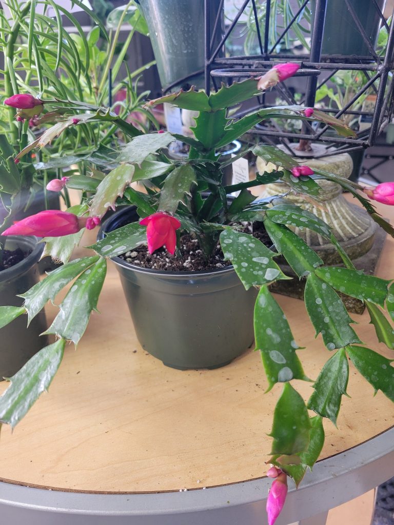 406396820_841179274467355_2201419922655220839_n