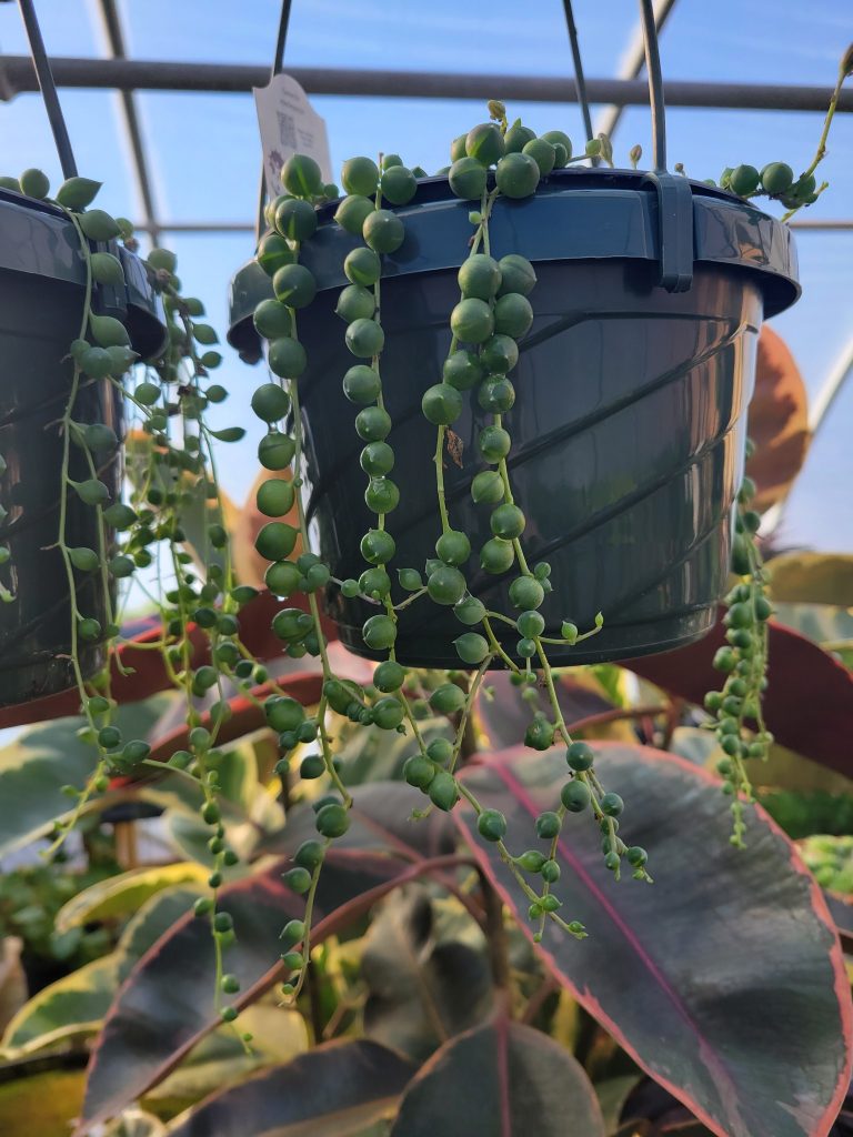 406411761_841179981133951_5547436877100127630_n