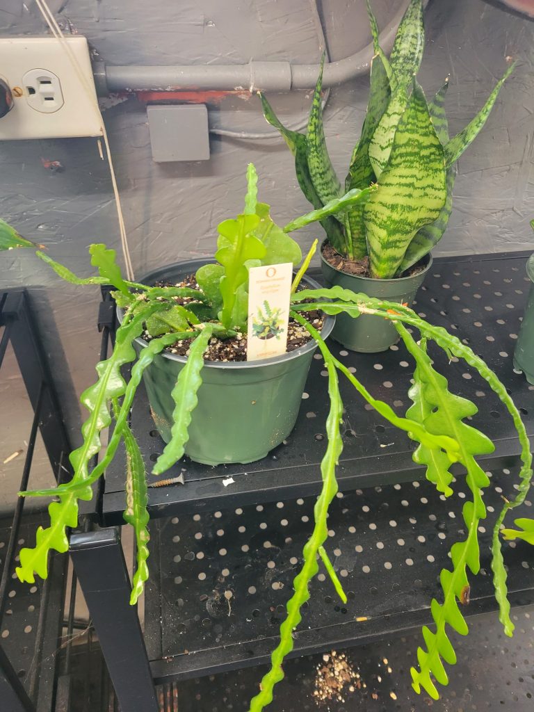 406494161_841181137800502_8467289812424516494_n