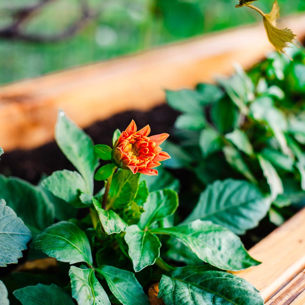 356649884_695033965766731_5712737356219157260_n