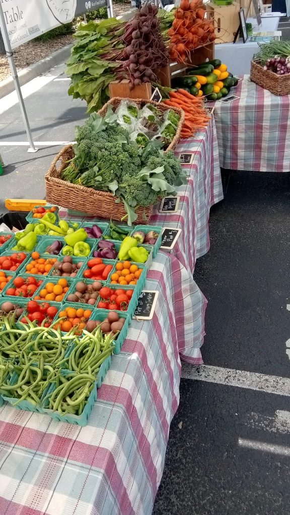 358114373_700066078596853_8326131355726396893_n