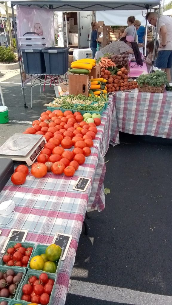 361869474_707700011166793_4510203955565248570_n