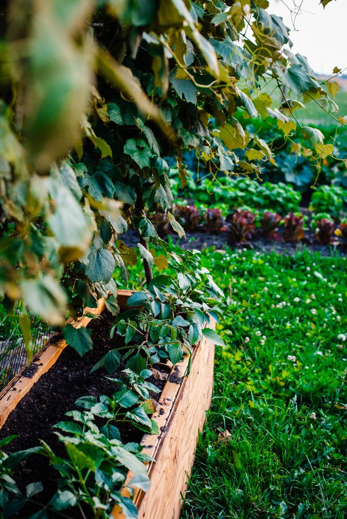 369471216_724409902829137_3303584770777453191_n