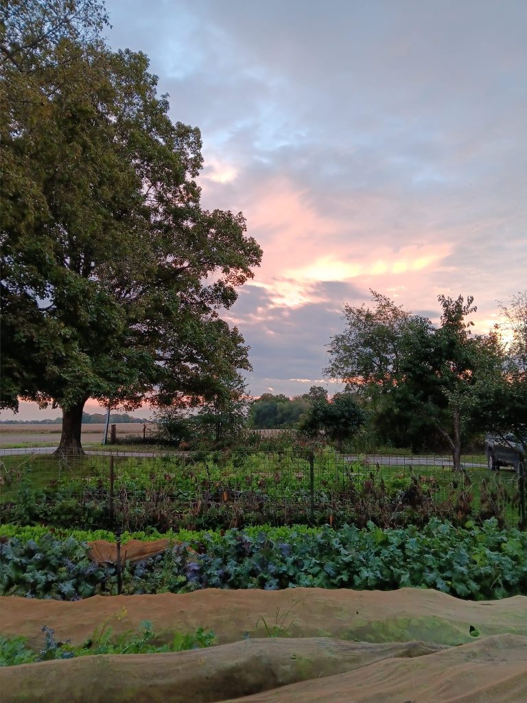 387798159_750815593521901_5950462434220455808_n