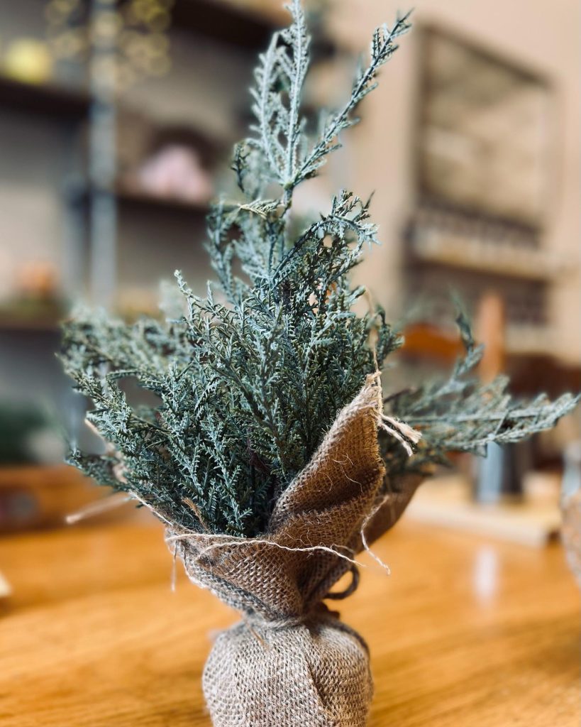 399622034_17982703490530218_983937563255974900_n