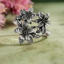 409125027_679284600856625_5313799412448492922_n