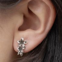 409188217_679291120855973_5065171713767058335_n