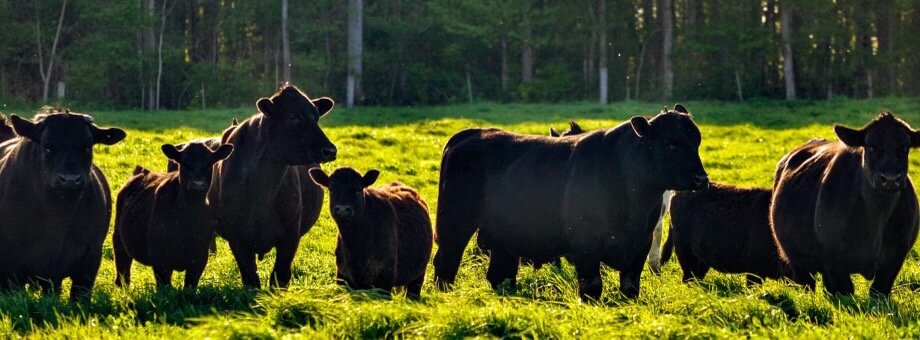 Katy+Callaway+-+IMG_2513