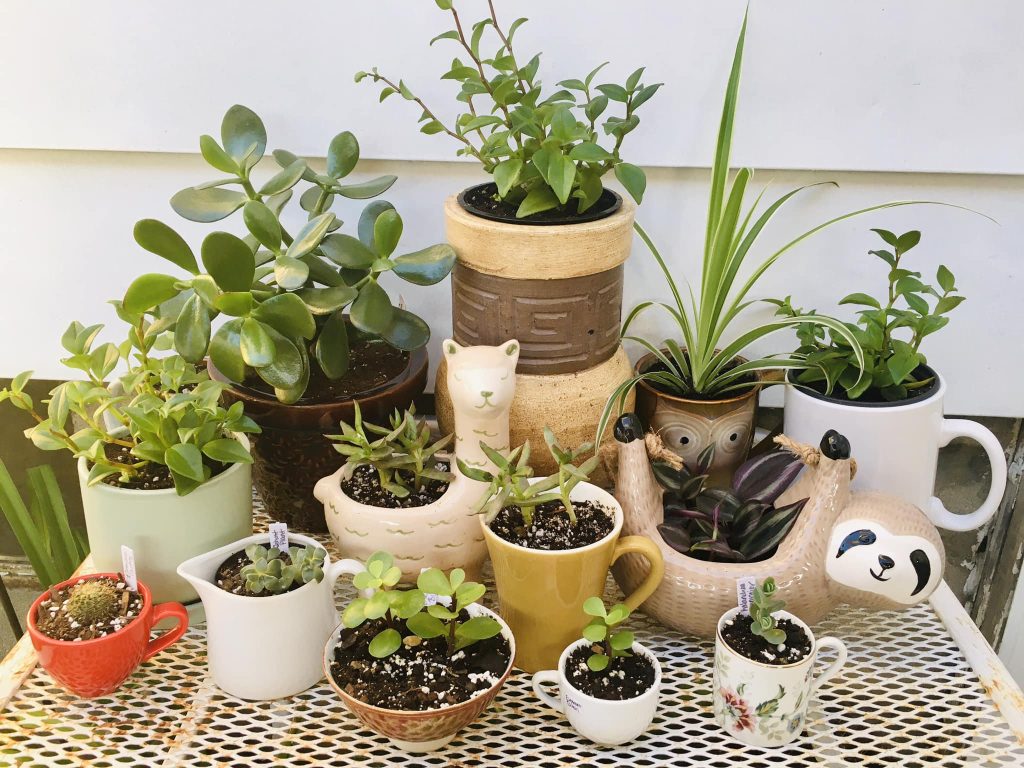 291116541_583516490137432_5542713413477496481_n