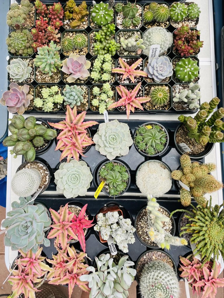 348836834_638088961504553_6416636551840647433_n