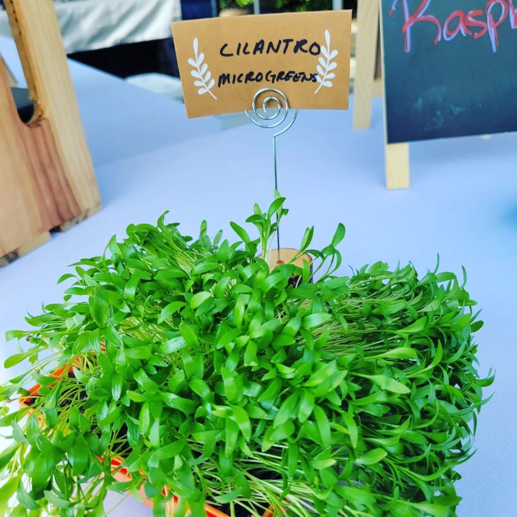 355392733_1109819443310525_2151023157609393141_n