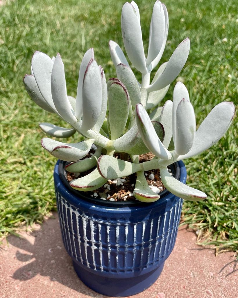 356406080_837146954774383_8242063692384330847_n