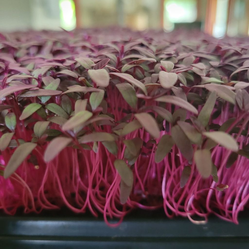 358592914_197593389949878_3793456524165711926_n