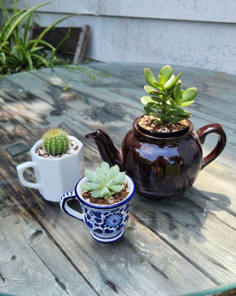 358711302_837146848107727_1837960302501082947_n