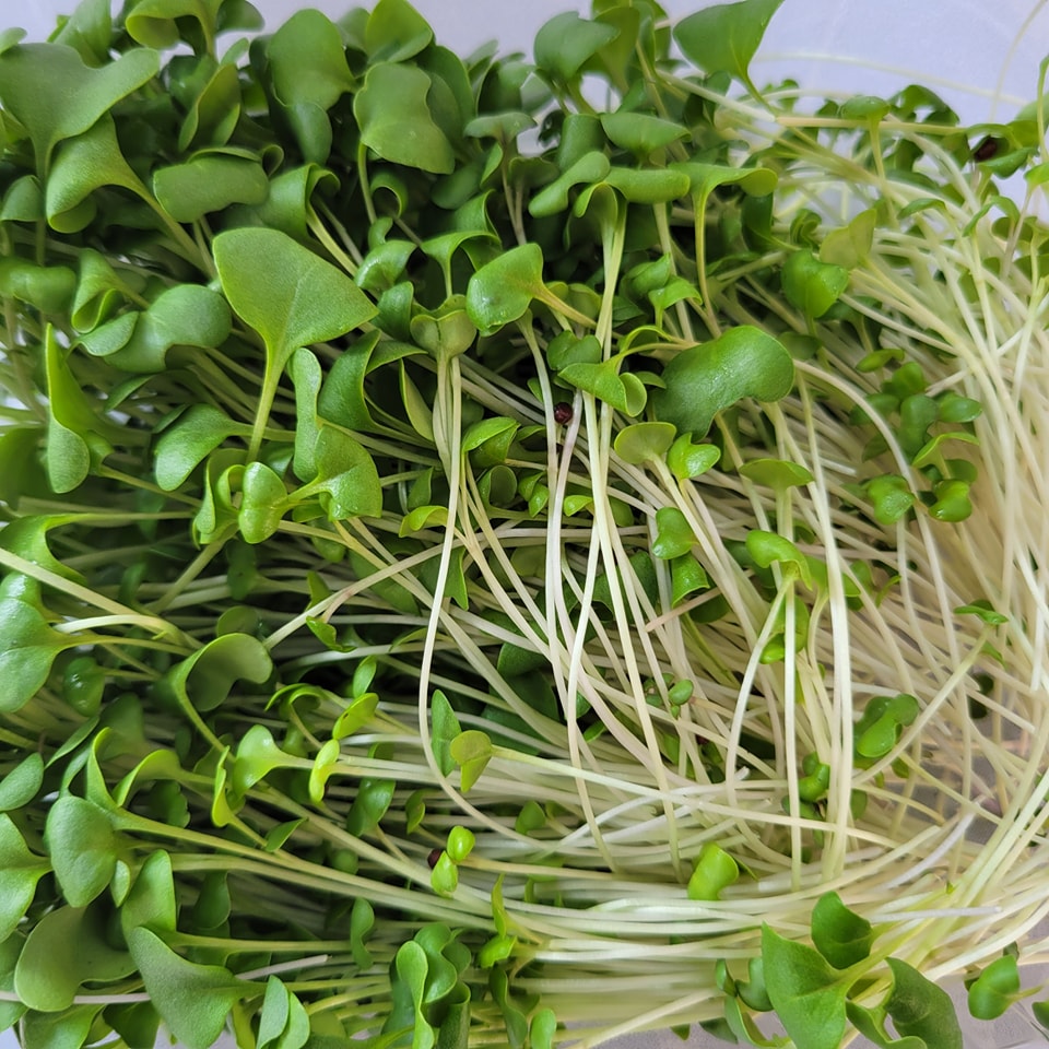 362252843_206356839073533_3535193412619186537_n