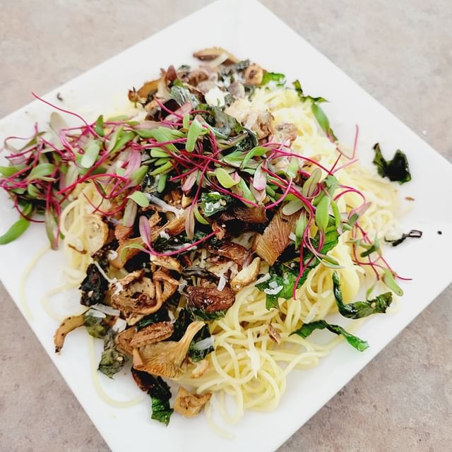 362928016_206491375726746_6022894734774257051_n